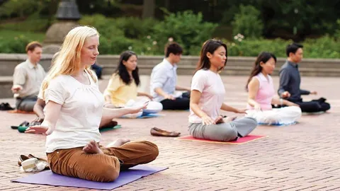 Hình ảnh học viên Pháp Luân Công ngồi thiền