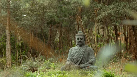 Ảnh tượng Phật (nguần pexels.com)